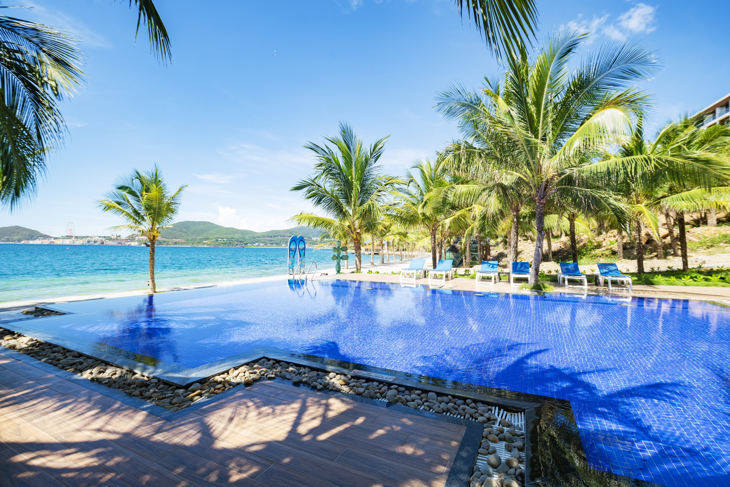 Hồ bơi Paradise